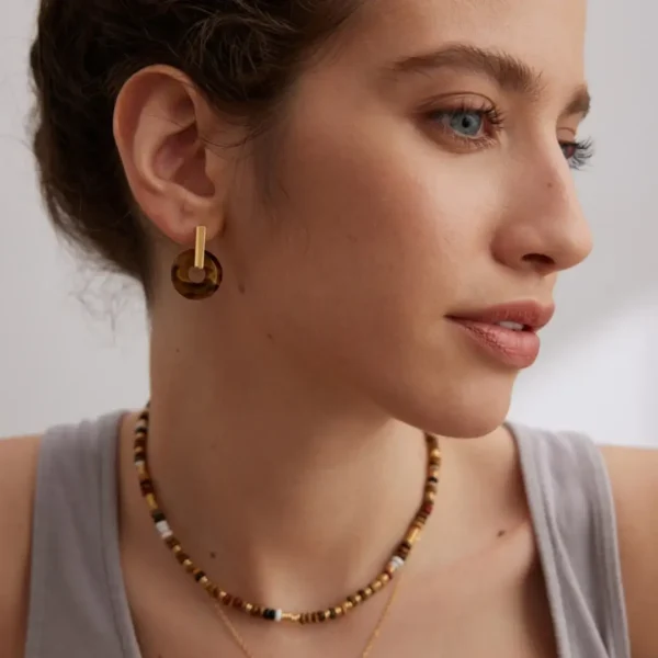 Tiger‘s Eye Earrings Studs 03